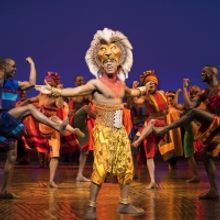 Disney's THE LION KING Celebrates Record Breaking Engagement In North Charleston