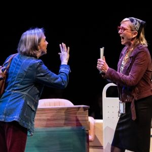 Review: BAD BOOKS at Round House Theatre