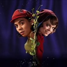 REVIEW: Eamon Flack Strips Back Stephen Sondheim's INTO THE WOODS For An Intimate Aus