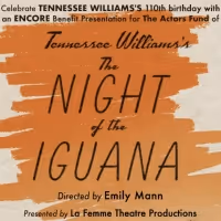 $10 Tickets to The Night of the Iguana Starring Dylan McDermott & Phylicia Rashad