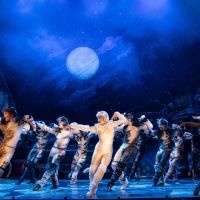 BWW Review: CATS at DCPA
