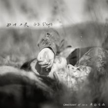 Southeast Of Rain Releases Debut Album '42 Days'