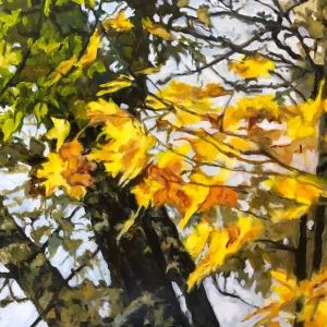 EXTRAORDINARY ORDINARY Landscapes and Portraits by Molly Hawley In the Jackson…
