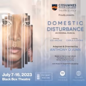 New Musical DOMESTIC DISTURBANCE Premieres At Black Box Theatre, July 7-16