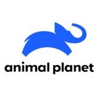 Animal Planet Acquires Worldwide Television Rights to Documentary Film WATSON
