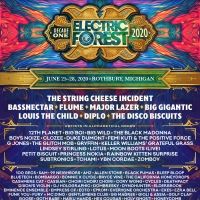Flume, Major Lazer & More Announced for Electric Forest's 10th Anniversary
