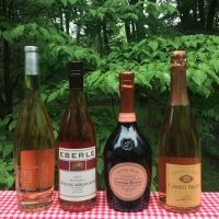 Rosé Wines are In Season – Exquisite Choices