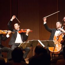 Artist Series Concerts Of Sarasota Reveals 2023-2024 Season: Stars Ascending