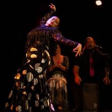 Saratoga Performing Arts Center Announces Week-Long Residency with Flamenco Vivo Carl