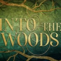 BWW Review: INTO THE WOODS Draws You Deeper In at Pike Performing Arts Center