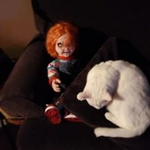 BWW Backstage Pets: EVAN HARRIS and Champ