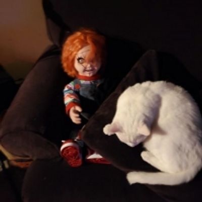 BWW Backstage Pets: EVAN HARRIS and Champ