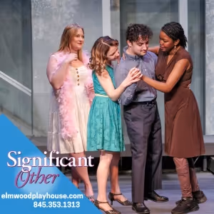 Review: Situation Dramedy SIGNIFICANT OTHER at Elmwood Playhouse