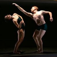 Virtual Hudson Valley Dance Festival Raises $100,219 for Dancers Responding to AIDS