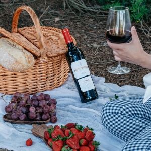 Bodegas Montecillo Crianza 2019-A Favorite Summertime Red Wine from Rioja