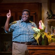 BWW Review: LITTLE SHOP OF HORRORS Kills It at SKYLIGHT MUSIC THEATRE