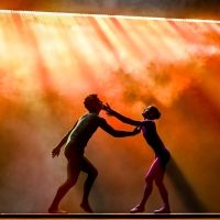 Photos: Go Inside FORWARD MOTION at Perelman Theater Photo