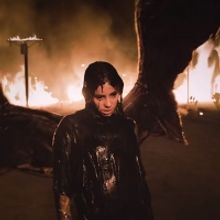 VIDEO: Billie Eilish Releases New Music Video for 'all the good girls go to hell'