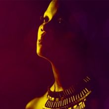 Win Two Tickets to St. Louis Rep's DREAMING ZENZILE