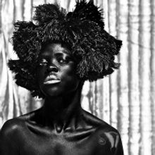 Pérez Art Museum Miami Will Present ALLIED WITH POWER Exhibition