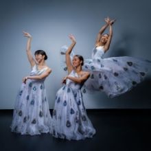 Marietta College to Present Nai-Ni Chen Dance Company as Part of The Ebenshade Series