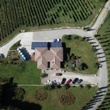 Bringing Campania Wines Back On Top-A Success Story