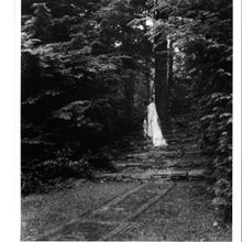 Berkshire Pulse Choreographers Present Intergenerational Performances At Chesterwood