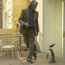 THE PENGUIN LESSONS Sets March Release Date with Sony Pictures Classics