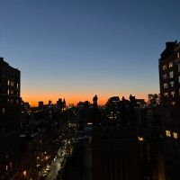 Student Blog: Top 8 Must-Try Restaurants in NYC