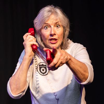 THE MYSTERY OF PLEASANCE TWO & I DREAMT YOU DIFFERENTLY to Play Edinburgh Fringe