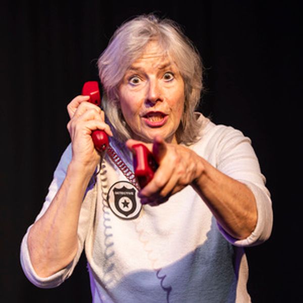 THE MYSTERY OF PLEASANCE TWO to Play Edinburgh Fringe Photo