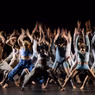 Photos: First Look at the World Premiere of BLACK SWAN at A.R.T.