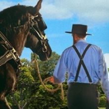 Special Offer: Elect to Be Entertained!