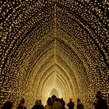 Lightscape Opens This Month At Brooklyn Botanic Garden