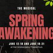 SPRING AWAKENING to be Presented at Het Amsterdams Theaterhuis Photo