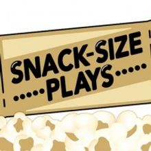 The Studio Theatre Tierra del Sol Presents NEGOTIATING THE ELUSIVE PERFECT ONE NIGHT