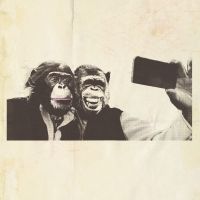 Crazy P Announce U.S. Tour!