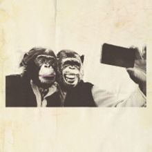 Crazy P Announce U.S. Tour!