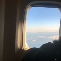 BWW Blog: Coming Home for the Holidays