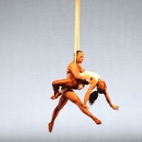 Dallas Black Dance Theatre Presents its Petit Performance Live Across the Dallas…