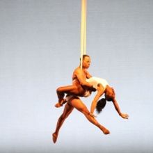 Dallas Black Dance Theatre Presents its Petit Performance Live Across the Dallas Arts