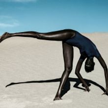 Brooklyn Academy of Music And Aperture Present THE NEW BLACK VANGUARD