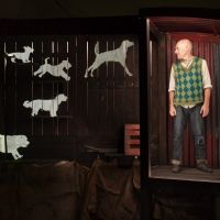 BWW Review: THE BOY WHO TALKED TO DOGS – ADELAIDE FESTIVAL 2021 at Thomas Edmonds…