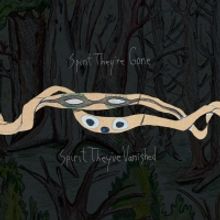 Animal Collective to Reissue 'Spirit They've Gone, Spirit They Vanished' & Release EP of Never-Before-Heard Songs