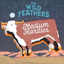 LISTEN: The Wild Feathers Release New Single 'Fire'