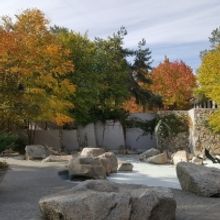 Seattle Center Seeks Input To Design The Future Of Dupen Fountain