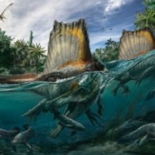 The Auditorium Theatre Presents NATIONAL GEOGRAPHIC LIVE — SPINOSAURUS