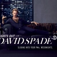 LIGHTS OUT WITH DAVID SPADE Will Not Return to Comedy Central; Looks For New Home
