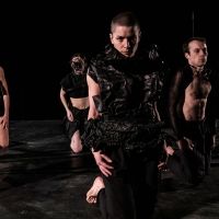 BWW Review: MORPHS Shines Brightest In Its Simplest Moments