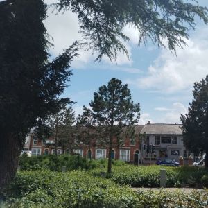 Student Blog: The (Un)Summer-y Blues